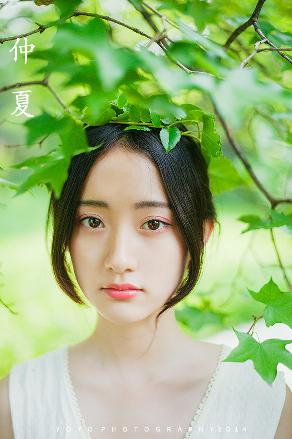 水龙吟电视剧免费观看全集高清